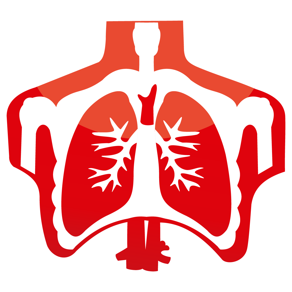 Icon Lungenfunktion