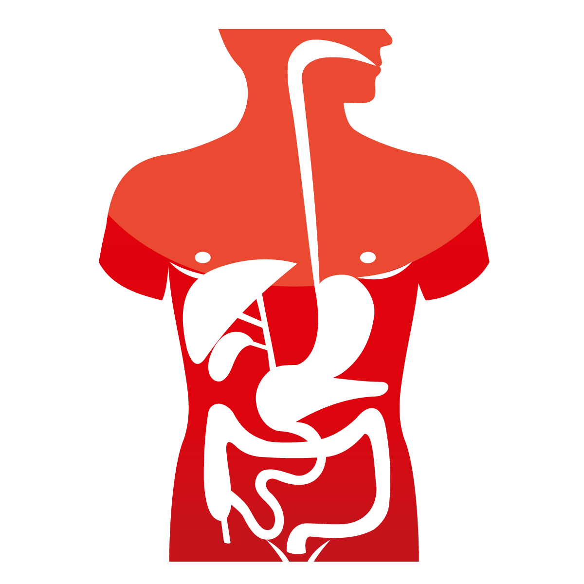 Icon Ultraschall Bauchorgane